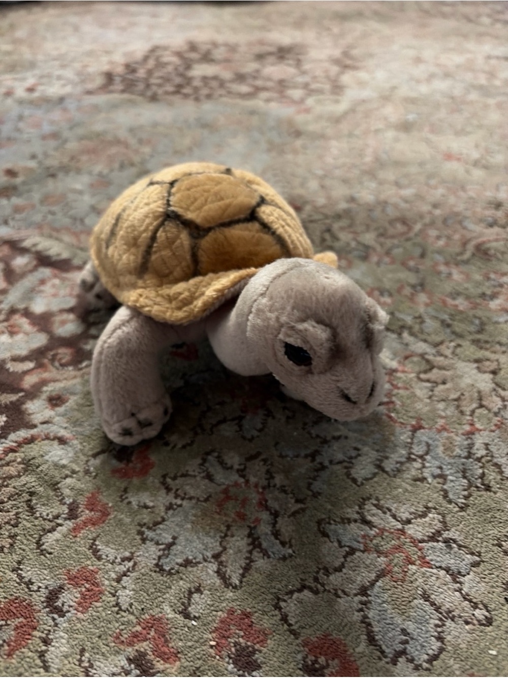 WWF anna club plush turtle - Tan Shell, Gray Body
